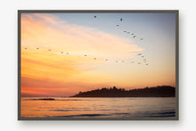 Load image into Gallery viewer, BIRDS FLYING OVER CARMEL BEACH
