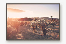 Load image into Gallery viewer, SUNSET IN CHOLLA CACTUS GARDEN