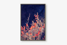 Load image into Gallery viewer, WILD POPPIES AT TWILIGHT