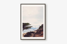 Load image into Gallery viewer, GOLDEN GATE BRIDGE AND BAKER BEACH AND BIRDS