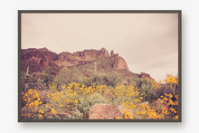 Load image into Gallery viewer, ARIZONA MOUNTAINS & WILD FLOWERS
