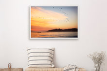 Load image into Gallery viewer, BIRDS FLYING OVER CARMEL BEACH