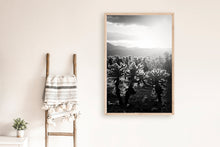 Load image into Gallery viewer, CACTUSGARDEN IN BLACK & WHITE