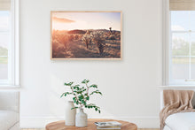 Load image into Gallery viewer, SUNSET IN CHOLLA CACTUS GARDEN