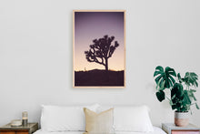 Load image into Gallery viewer, A JOSHUA TREE AT TWILIGHT 2
