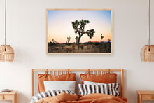 Load image into Gallery viewer, JOSHUA TREE AT TWILIGHT