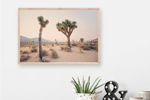 Load image into Gallery viewer, TWO TREES IN JOSHUA TREE