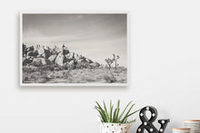 Load image into Gallery viewer, JOSHUA TREE ROCK FORMATION IN BLACK & WHITE