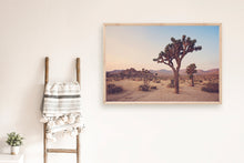 Load image into Gallery viewer, JOSHUA TREE IN SEPTEMBER