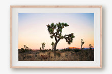 Load image into Gallery viewer, JOSHUA TREE AT TWILIGHT
