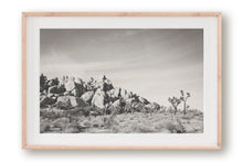 Load image into Gallery viewer, JOSHUA TREE ROCK FORMATION IN BLACK & WHITE