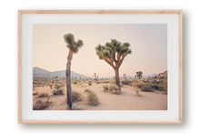 Load image into Gallery viewer, TWO TREES IN JOSHUA TREE