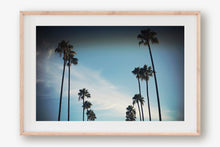 Load image into Gallery viewer, CALIFORNIA PALM TREES