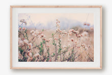 Load image into Gallery viewer, CALIFORNIA WILD FLOWERS IN WILDWOOD CANYON