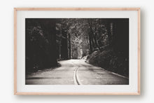 Load image into Gallery viewer, A ROAD IN BIG BASIN REDWOODS STATE PARK IN BLACK & WHITE