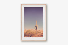 Load image into Gallery viewer, SAGUARO IN THE ARIZONA DESERT