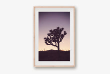 Load image into Gallery viewer, A JOSHUA TREE AT TWILIGHT 2