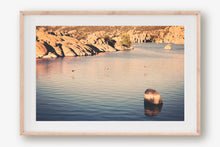 Load image into Gallery viewer, DUCKS ON WATSON LAKE