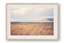 Load image into Gallery viewer, MONTANA AFTER THE RAIN