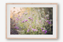 Load image into Gallery viewer, CALIFORNIA WILD FLOWERS