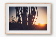Load image into Gallery viewer, SUNRISE IN JOSHUA TREE