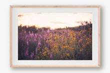 Load image into Gallery viewer, CALIFORNIA SUPER BLOOM
