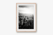 Load image into Gallery viewer, CACTUSGARDEN IN BLACK & WHITE