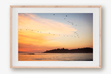 Load image into Gallery viewer, BIRDS FLYING OVER CARMEL BEACH