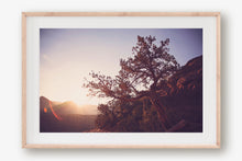 Load image into Gallery viewer, A TREE AT SUNRISE IN SEDONA ARIZONA