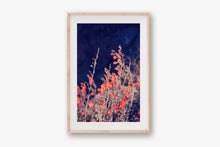 Load image into Gallery viewer, WILD POPPIES AT TWILIGHT