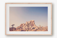 Load image into Gallery viewer, JOSHUA TREE IN SEPTEMBER 2