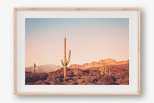Load image into Gallery viewer, FOUR PEAKS WILDERNESS AT TWILIGHT