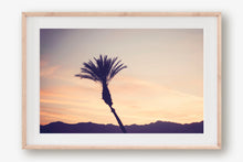 Load image into Gallery viewer, A PALM TREE IN PALM DESERT