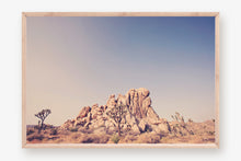 Load image into Gallery viewer, JOSHUA TREE IN SEPTEMBER 2