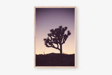 Load image into Gallery viewer, A JOSHUA TREE AT TWILIGHT 2