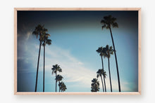Load image into Gallery viewer, CALIFORNIA PALM TREES