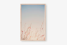 Load image into Gallery viewer, WILD POPPIES IN ARIZONA