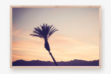 Load image into Gallery viewer, A PALM TREE IN PALM DESERT