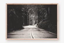 Load image into Gallery viewer, A ROAD IN BIG BASIN REDWOODS STATE PARK IN BLACK & WHITE
