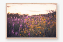 Load image into Gallery viewer, CALIFORNIA SUPER BLOOM