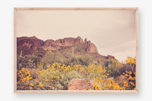 Load image into Gallery viewer, ARIZONA MOUNTAINS & WILD FLOWERS