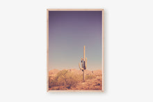 Load image into Gallery viewer, SAGUARO IN THE ARIZONA DESERT