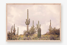 Load image into Gallery viewer, SAGUARO IN THE SUPERSTITION WILDERNESS