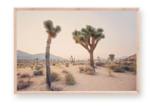 Load image into Gallery viewer, TWO TREES IN JOSHUA TREE