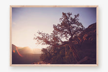 Load image into Gallery viewer, A TREE AT SUNRISE IN SEDONA ARIZONA