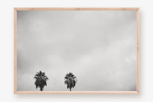 Load image into Gallery viewer, CALIFORNIA PALM TREES 2