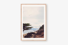 Load image into Gallery viewer, GOLDEN GATE BRIDGE AND BAKER BEACH AND BIRDS