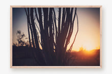 Load image into Gallery viewer, SUNRISE IN JOSHUA TREE