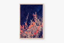 Load image into Gallery viewer, WILD POPPIES AT TWILIGHT