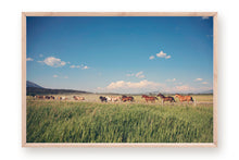 Load image into Gallery viewer, WILD HORSES IN WYOMING